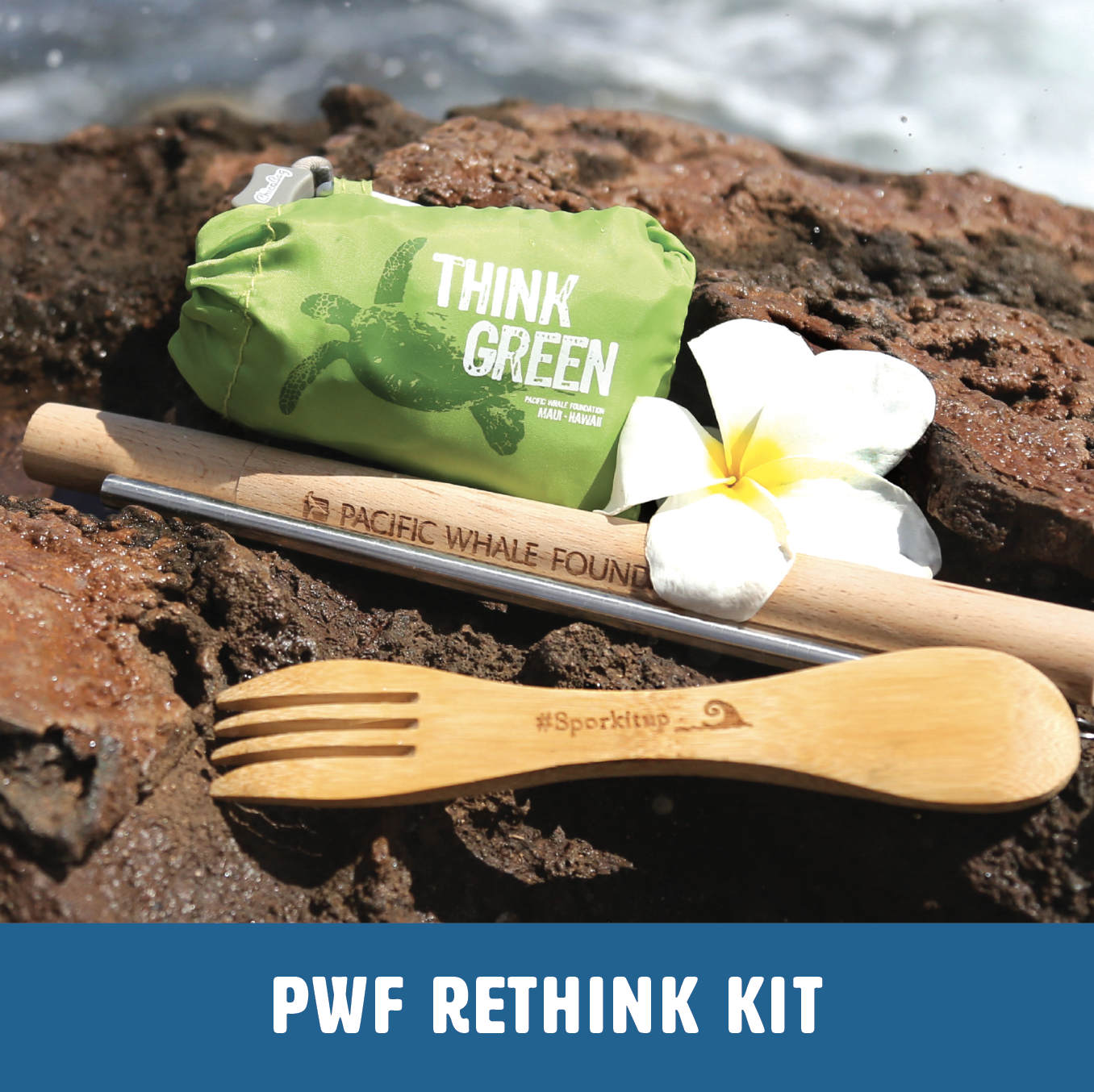 Introducing the RETHINK Kit! - Pacific Whale Foundation