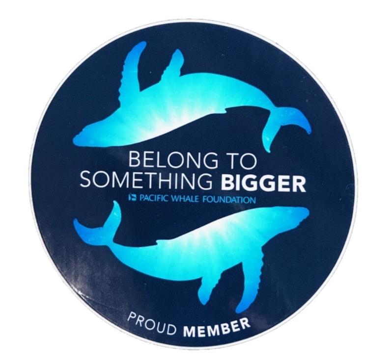 Product Description: "Belong to Something Bigger. Pacific Whale Foundation Proud Member"</br> "Belong to Something Bigger" Sticker